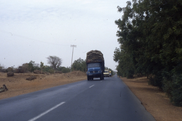 Bild Senegal 2