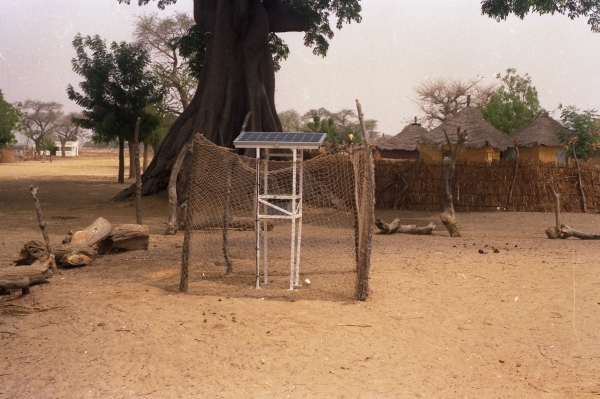 Bild Senegal 37